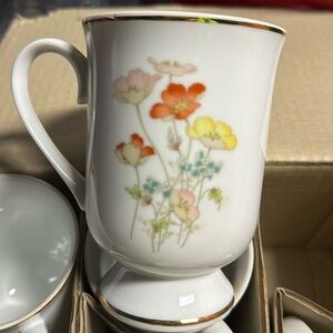 Fanci florals collection 6pc mug painted poppy
